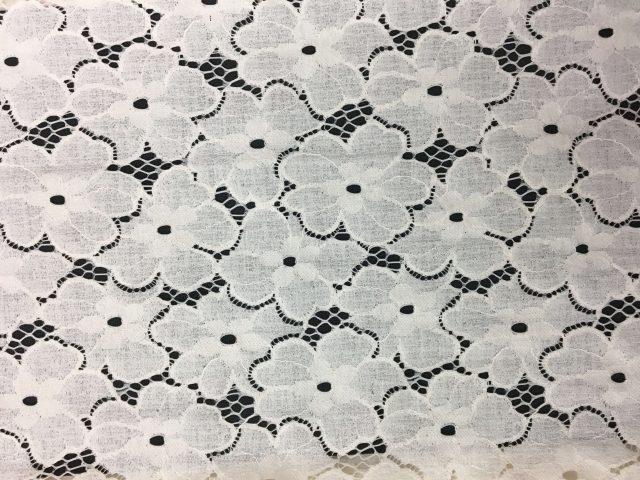 CY-CNF038